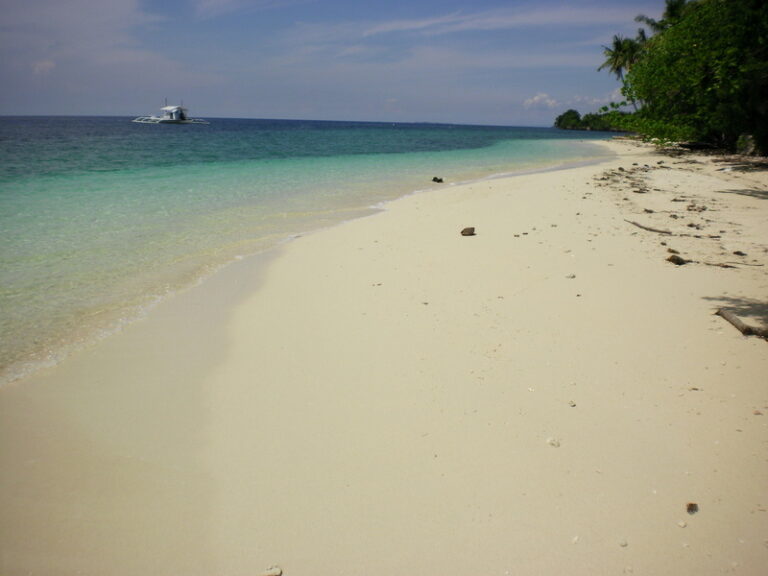 SANYO DIGITAL CAMERA